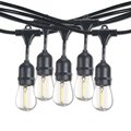 Bulbrite 30-foot String Light Kit with Clear Shatter Resistant Vintage Style S14 LED Light Bulbs, 2PK 862819